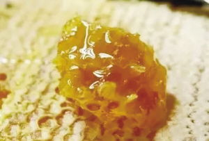 寧陜山珍 縣域公共品牌亮相古城西安，引領初級農產品新風尚