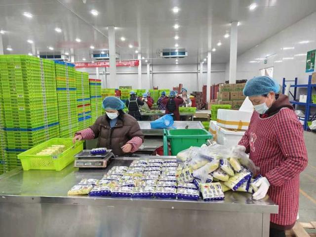 年味漸濃，果蔬禽畜開啟“春運”模式