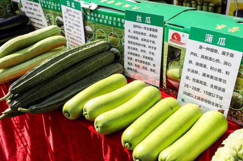 秋分時節慶豐收，佛山人的田園歡歌